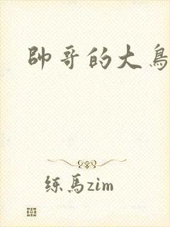 帅哥的大鸟