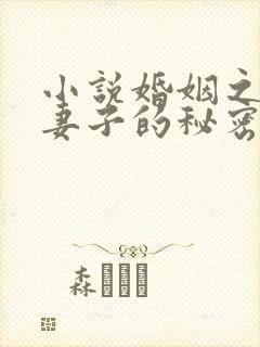 小说婚姻之殇:妻子的秘密免费阅读