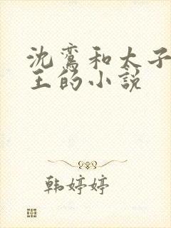 沈鸾和太子摄政王的小说