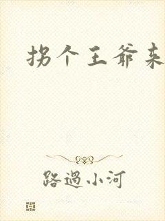 拐个王爷来撑腰