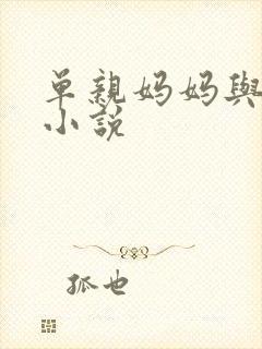 单亲妈妈与儿子小说