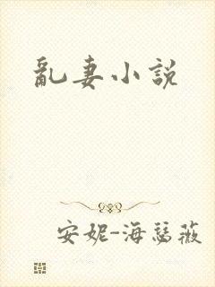 乱妻小说