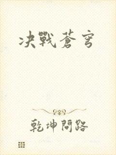 决战苍穹