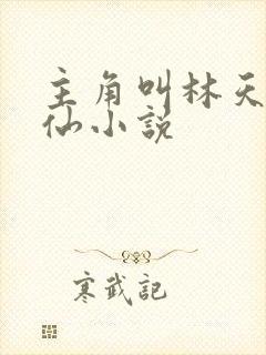 主角叫林天的修仙小说