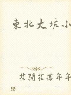 东北大坑小说封面
