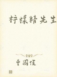 柠檬精先生