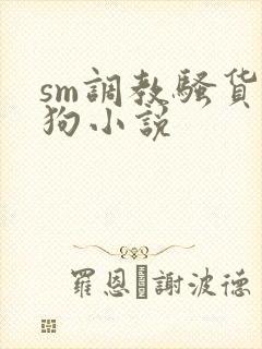sm调教骚货母狗小说