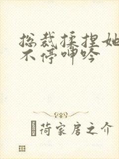 总裁揉捏她两乳不停呻吟