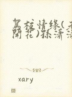 驾校情缘(老树开花)孙潇潇笔趣阁