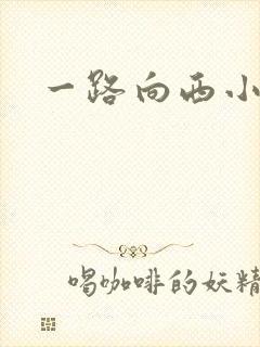 一路向西小说