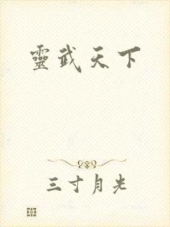 灵武天下