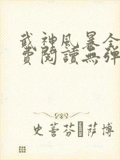 武神风暴全文免费阅读无弹窗笔趣阁封面