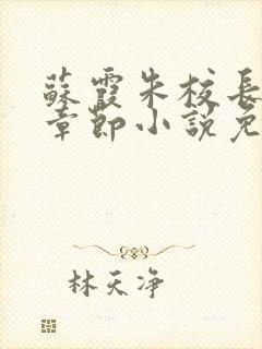 苏霞朱校长全部章节小说免费阅读