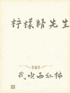 柠檬精先生封面