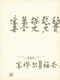亿万总裁的隐婚妻全文免费阅读