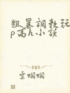 粗暴调教玩弄np高h小说