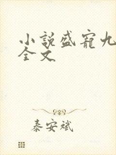 小说盛宠九皇妃全文封面