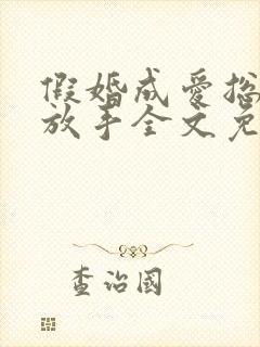 假婚成爱总裁别放手全文免费阅读