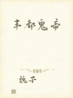 丰都鬼帝封面