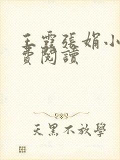 王霞张娟小说免费阅读封面