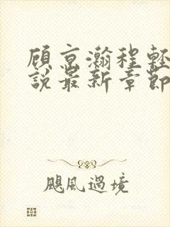 顾京瀚程轻轻小说最新章节免费阅读封面
