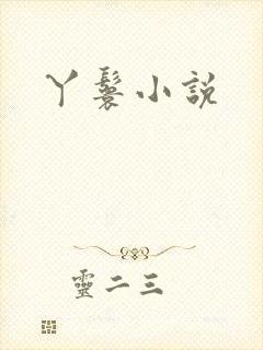 丫鬟小说