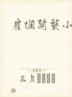 雇佣关系小说封面