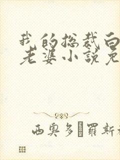 我的总裁白富美老婆小说免费在线听