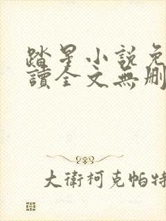 踏星小说免费阅读全文无删减