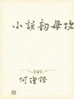 小说韵母攻略