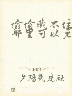 偷偷藏不住小说哪里可以免费阅读封面