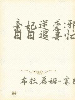 弃妃逆袭:邪王日日追妻忙 明夏封面
