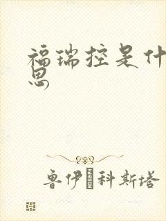 福瑞控是什么意思