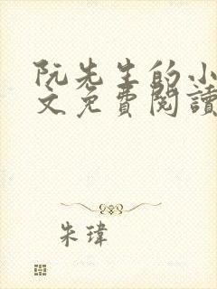 阮先生的小说全文免费阅读无弹窗