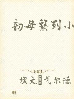 韵母系列小说封面
