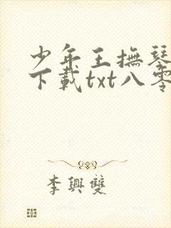 少年王抚琴的人下载txt八零电子书