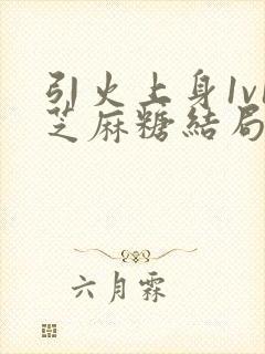 引火上身1v1芝麻糖结局封面