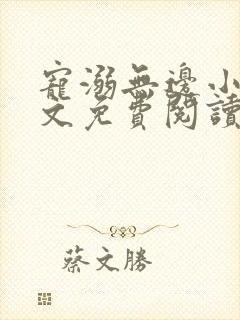 宠溺无边小说全文免费阅读封面