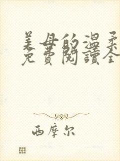美母的温柔小说免费阅读全文笔趣阁封面
