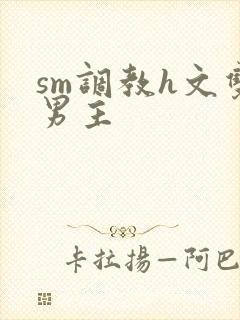 sm调教h文双男主