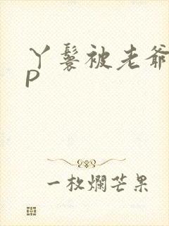 丫鬟被老爷玩NP