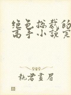 绝色总裁的超级高手小说完整版