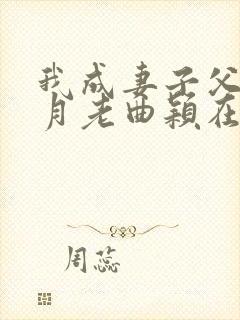 我成妻子父亲的月老曲颖在线阅读
