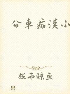公车痴汉小说