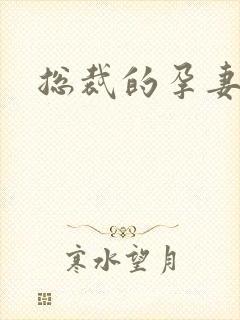 总裁的孕妻封面
