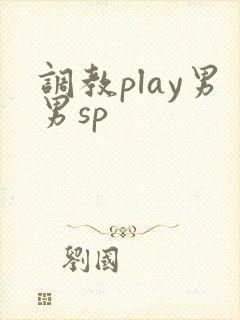 调教play男男sp