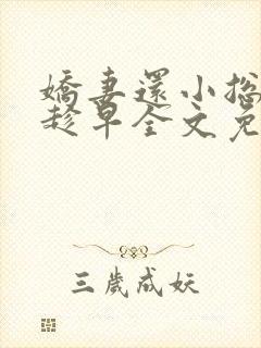 娇妻还小总裁要趁早全文免费阅读封面