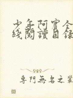 少年阿宾全文在线阅读目录