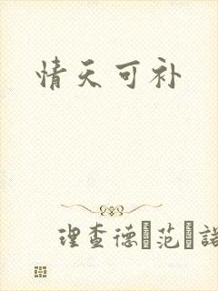 情天可补封面