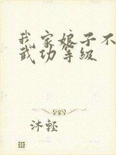 我家娘子不对劲武功等级封面